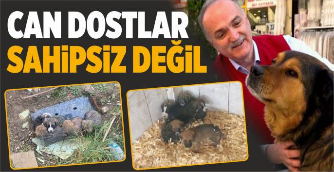 Yavru dostlar