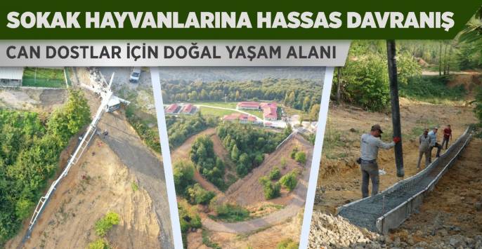 doğal alanda yerleşim yeri yapan işçiler